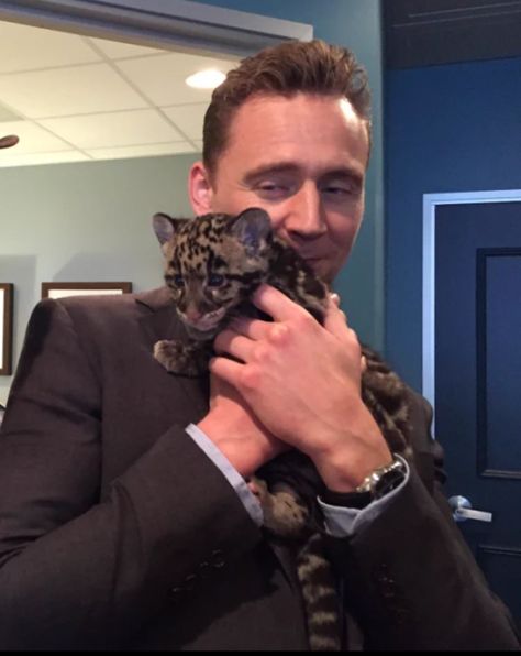 jack hanna was also on James Corden and look what he gave Tom to hold - baby leopard eee Tom Hiddleston Imagines, Jack Hanna, Dr Mundo, Tom Hiddleston Funny, Crimson Peak, Baby Leopard, Thomas William Hiddleston, Marvel Actors, Loki Marvel