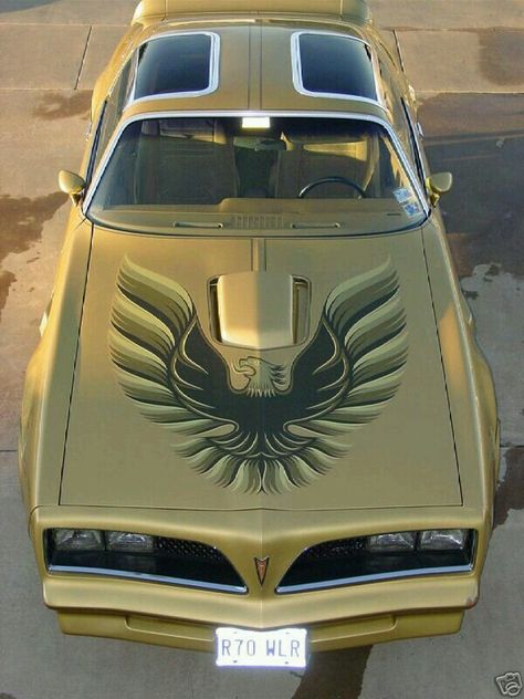 The '78 Trans Am aka "The screaming chicken"! 1978 Pontiac Trans Am, To Fast To Furious, Pontiac Firebird Trans Am, Truck Stuff, Cars 2, Trans Am, Rat Rods, Us Cars, Pontiac Gto