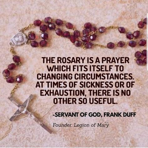 The Rosary Quotes, Rosary Quotes, Rosary Novena, Christian Painting, Catholic Prayers Daily, Bible Verses Kjv, Family Devotions, Rosary Prayer, Catholic Images