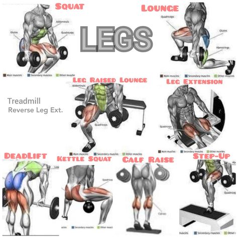 My Favorite Legs Workouts Legs Workouts For Men, Quadriceps Workout, Leg Workout For Men, Leg Workouts For Men, Gym Back Workout, Chest Workout At Home, Leg Workouts Gym, Workout Gym Routine, Workout Program Gym