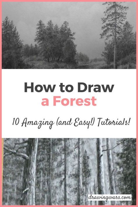 Tree Drawings Pencil Step By Step, Fantasy Forest Drawing Pencil, Step By Step Drawing For Beginners Pencil Sketching, Forest Drawing Pencil Easy, How To Draw Forest, How To Draw Landscape Step By Step, How To Draw A Forest, How To Draw A Tree Step By Step Easy, Drawing A Forest