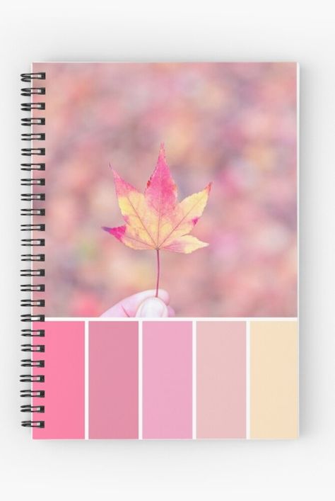 Au autumn / fall colour palette in pastel tones inspired by this beautiful Acer leaf. Available to buy as a print in a range of formats, as well as greeting cards, postcards, notebooks, stickers, tote bags, coasters and more. #colourpalette #colorpalette #pastel #autumn #fall #Acer #leaf Fall Colour Palette, Autumn Colour Palette, Pastel Autumn, Fall Color Palette, Pink Pastel, Pastel Shades, Glossier Stickers, Transparent Stickers, Autumn Fall