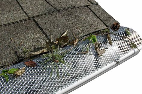 Gutter guards (aka leaf covers for gutters) are an attractive idea to homeowners whose homes are surrounded by large trees. Plenty of marketing dollars go into promoting gutter guards, but are they really worth the money? In this guide, we cover the cost to install gutter leaf guards, their pros and cons, and alternative approaches […] Gutter Leaf Guard, Painting Gutters, Gutter Screens, Diy Gutters, Gutter Protection, Gutter Guards, Water Collection System, Leaf Guard, Water Harvesting