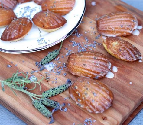 Lavender Madeleines, Unique Cookie Recipes, Madeleines Recipe, Bourbon Caramel Sauce, Madeleine Recipe, Honey Lavender, Love At First Bite, Cookie Recipes Unique, Double Chocolate Cookies