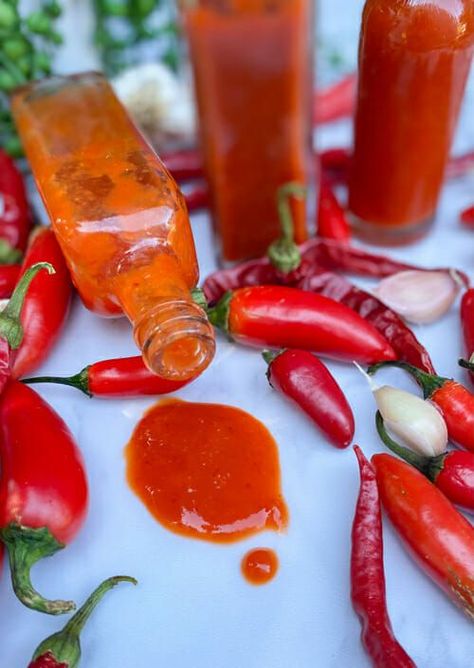 How to Make Your Own Hot Sauce - Non-Fermented How To Make Your Own Hot Sauce, How To Make Hot Sauce, Diy Hot Sauce, Pickled Hot Peppers, Hot Sauce Recipe, Homemade Hot Sauce, Hot Pepper Jelly, Bacon Wrapped Jalapenos, Healthy Probiotics