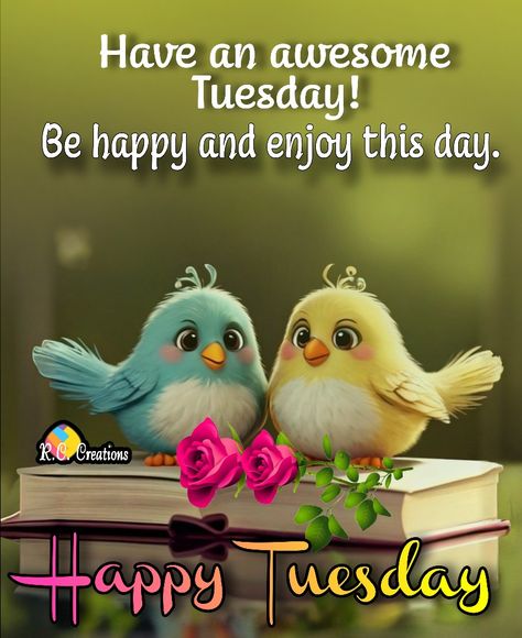 Tuesday Quotes Funny, Happy Tuesday Images, Tuesday Images, Tuesday Greetings, Happy Tuesday Friends, Hello Tuesday, Happy Day Quotes, Good Morning Tuesday, Tuesday Quotes