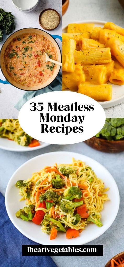 Looking for a few vegetarian meals to add to your Meatless Monday routine? I’ve got you covered! From one pot meals to 15 minute recipes, there’s something for everyone on this list! Easy Vegetarian College Meals, Meatfree Monday, 15 Minute Recipes, Monday Routine, Vegetarian Tacos Recipes, Simple Vegetarian Recipes, Monday Recipes, Homemade Tzatziki Sauce, Veggie Ideas