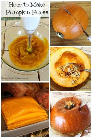 How to Roast a Pumpkin and How to Make Pumpkin Puree: Easy tips for roasting pumpkin. How to make pumpkin puree from scratch & freeze it to use in recipes. Roasting Pumpkin, Make Pumpkin Puree, Pumpkin Puree Recipes, Live Frugally, Pumpkin Pies, How To Roast, How To Make Pumpkin, Roast Pumpkin, Jelly Recipes