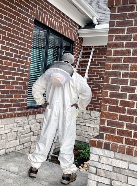 How to Ensure Bees are Safely Removed from Your Property ✅ There are considerations when choosing a professional bee removal company to come to your property to inspect and extract a beehive. Gone are the days (hopefully) of contacting an inexpensive pest control company that takes care of everything from roaches to rats. With increased concern over declining bee populations, bee removal companies are taking every measure to ensure humane bee removal and finding a new home for them. Getting Rid Of Bees, Honey For Sale, Different Bees, Bee Removal, Wasp Nest, Bee Swarm, Removal Company, North Park, Wasp