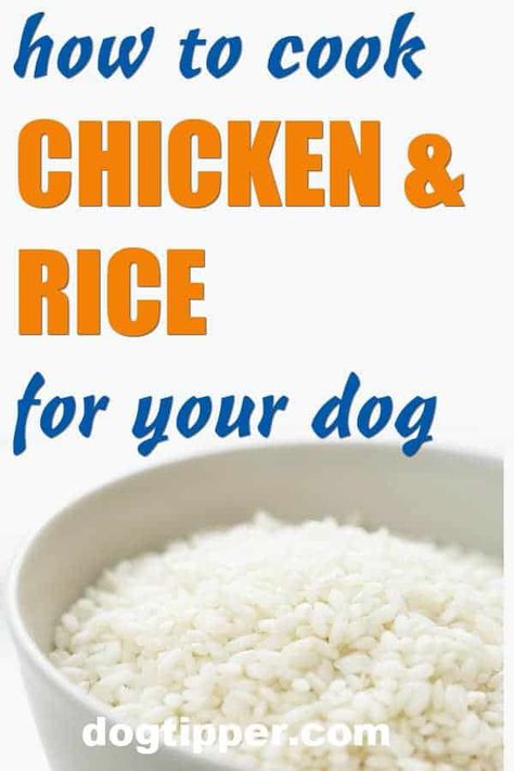 How to Cook Chicken and Rice for Dogs Chicken Rice For Dogs, Dog Chicken And Rice, Chicken And Rice For Dogs How To Make, Chicken And Rice Recipes For Dogs, Boiled Chicken And Rice For Dogs, Chicken For Dogs Food Recipes, Boiled Chicken For Dogs, How To Boil Chicken For Dogs, Cooking For Dogs Recipes