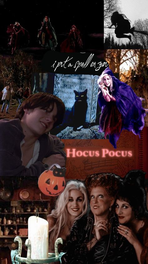 Sanderson Sister Aesthetic, Hocas Pocas Wallpaper, Hocus Pocus Gif, Hocus Pocus Sisters, Hermanas Sanderson, The Fall Movie, Hocus Pocus 1993, Hocus Pocus Movie, Holiday Wallpapers