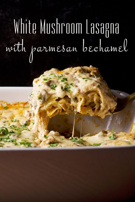 Layers of noodles, velvety parmesan béchamel, savory mushroom ragù, and melted parmesan cheese make this white mushroom lasagna 100% comfort food. #lasagna #béchamel #mushroomlasagna #whitelasagna #vegetarianlasagna | alittleandalot.com Lasagna Bechamel, White Lasagna Recipe, Mushroom Lasagna Recipe, Food Lasagna, White Lasagna, Mushroom Ragu, Mushroom Lasagna, White Mushroom, Vegetarian Lasagna