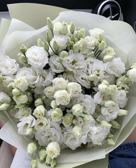 Twisted Pride, Money Flowers, Boquette Flowers, Nothing But Flowers, Flower Therapy, Beautiful Bouquet Of Flowers, Luxury Flowers, Beautiful Bouquet, Love Flowers