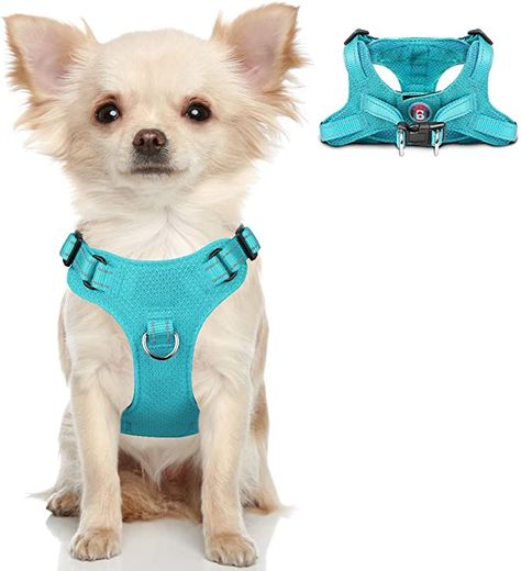 Amazon.com : Dog Harness Step in Dog Vest Harness , Reflective Adjustable Puppy No Pull Harness Breathable Soft for Small and Medium Dogs,Cats : Pet Supplies Pet Quotes Dog, Pet Quotes, Small Dog Harness, Vest Harness, Puppy Harness, Dog Vest Harness, Cats Pet, Cat Harness, Dog Apparel