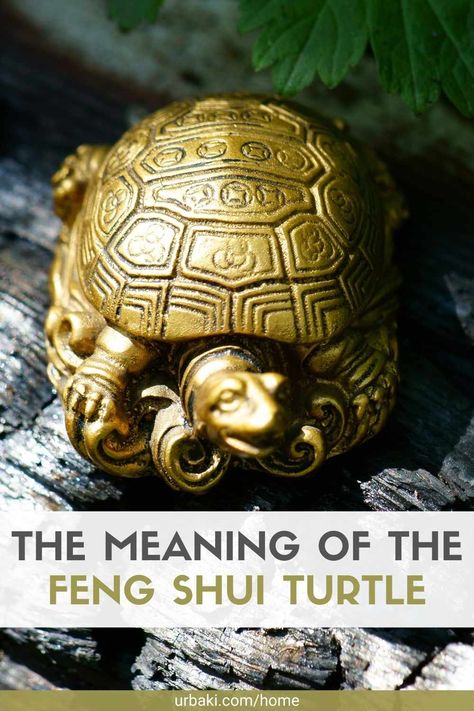 The Meaning of the Feng Shui Turtle Tortoise Symbolism, Feng Shui Candles, Feng Shui Turtle, Feng Shui Wealth Corner, Zen Things, Feng Shui Elephant, Celestial Animals, Feng Shui Animals, Feng Shui Dragon