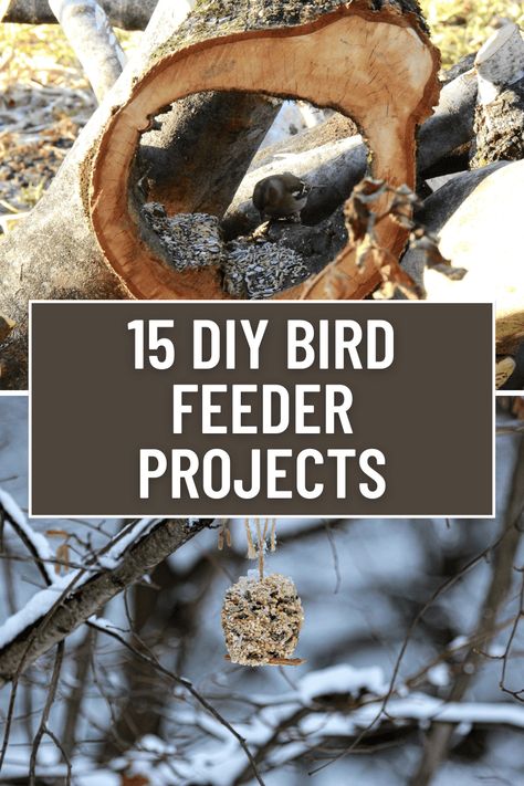 Attract Birds to Your Backyard With These DIY Feeder Ideas Finch Feeders Diy, How To Make A Bird Feeder Diy, Diy Woodpecker Feeder, Hummingbird Nesting House, Building A Bird Feeder, Birdfeeder Pole Ideas, Diy Bird Seed Feeders, Bird Feeder On Post, Bird Feeder Ideas Diy