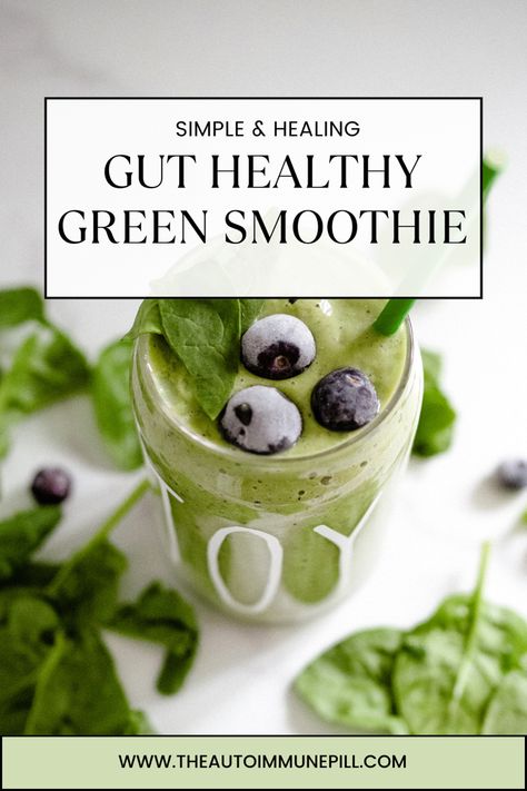 Gut healthy green smoothie recipe Liquid Diet Smoothie Recipes, Vegan Green Smoothie Recipes, Digestive Health Smoothie, Green Smoothie With Ginger, Gut Health Crockpot Recipes, Alkagizer Mild Recipe, Detox Smoothies For Gut, Wellness Smoothie Recipes, Foods Good For Your Gut