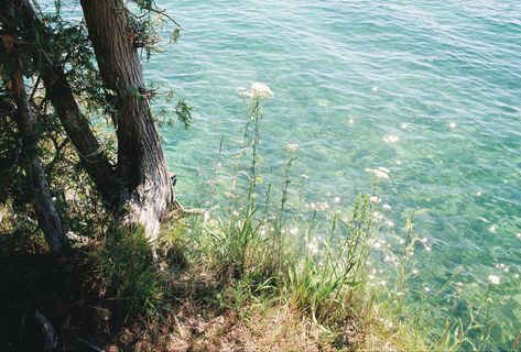 Lake Shore, The Lakes Aesthetic, Kodak Gold Film, Pretty Lake, Kodak Gold 200 Film, 35mm Film Aesthetic, Lake Aesthetic, Lake Aesthetics, 35mm Film Photography