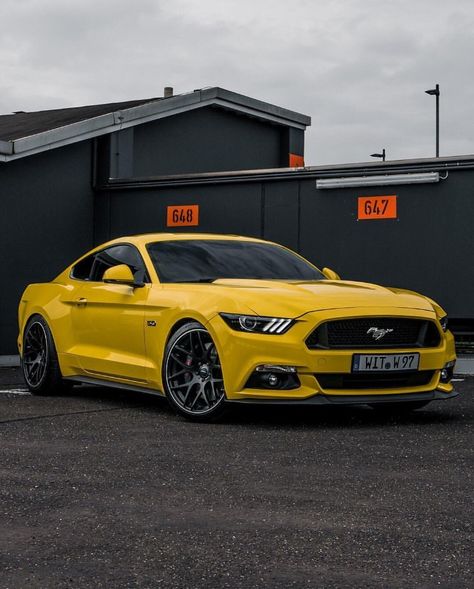 Mustang Astetic, Ford Mustang Gt 2022, Ford Mustang Gt Wallpaper Hd Desktop, Ford Mustang Gt Yellow, Widebody Mustang, Rolls Royce Ghost Black, Ford Mustang 2015, Grabber Orange Mustang, Tokyo Drift Cars