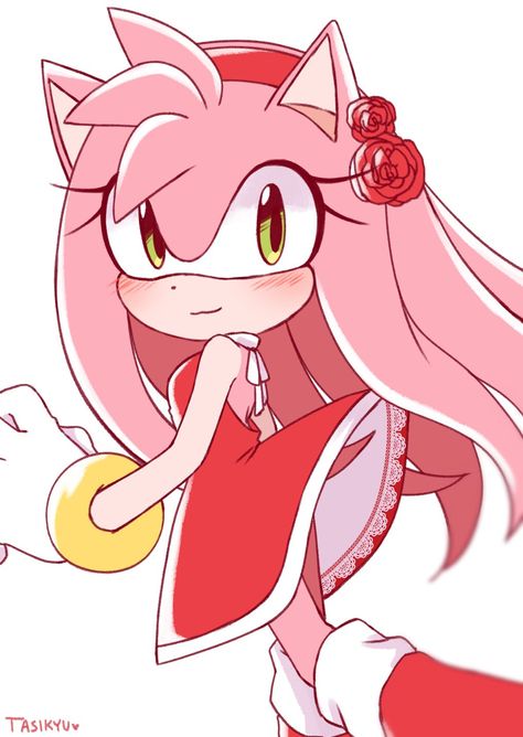 Rose Long Hair, Super Amy Rose, Amy Rose Hedgehog, Sonic Kawaii, Rose Fanart, Cream Sonic, Sonic Amy, Sonic Game, Sonamy Comic