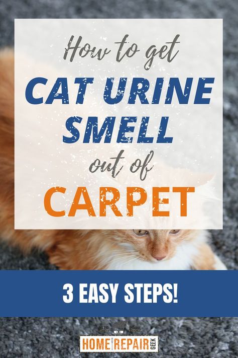 Title for removing cat urine smells from carpet and rugs. How To Get Cat Urine Out Of Carpet, How To Clean Cat Urine Out Of Carpet, Remove Cat Urine Smell From Carpet, Cleaning Cat Urine From Carpet, How To Get Rid Of Cat Urine Smell Carpet, Remove Cat Urine From Carpet, How To Get Cat Pee Out Of Carpet, Cat Urine Out Of Carpet, Cat Urine Smell Remover