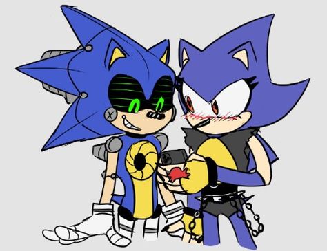 Metonic Ship, Sonic And Jet, Metal Sonic X Sonic, Metal Sonic Fanart, Metal Sonic Idw, Sonic X Sliver, Metal Sonic, Sonic 2, Legend Of Zelda Memes