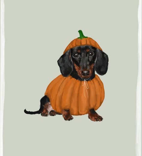 Another little Pupkin friend 🍂 . . . . . . #sausagedog #petportraits #petportraitartist #artistsoninstagram #dachshund #dachsundsofinstagram #dachshundpuppy #autumnillustration #autumnvibes #petsofinstagram #dogsofinstagram #dogillustration #dogportrait #art Halloween Sausage, Daschund Art, Arte Dachshund, Costume Illustration, Dog Illustrations, Dachshund Art, Pet Portrait Painting, Pets Drawing, Autumn Illustration