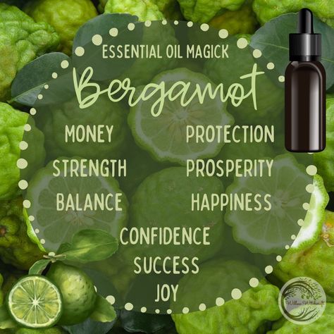 Bergamot Willow Witchcraft Bergamot Spiritual Meaning, Bergamot Magical Properties, Bergamot Witchcraft, Bergamot Benefits, Sulfur Magical Properties, Burdock Magical Properties, Wormwood Magical Properties, Motherwort Magical Properties, Witch Info