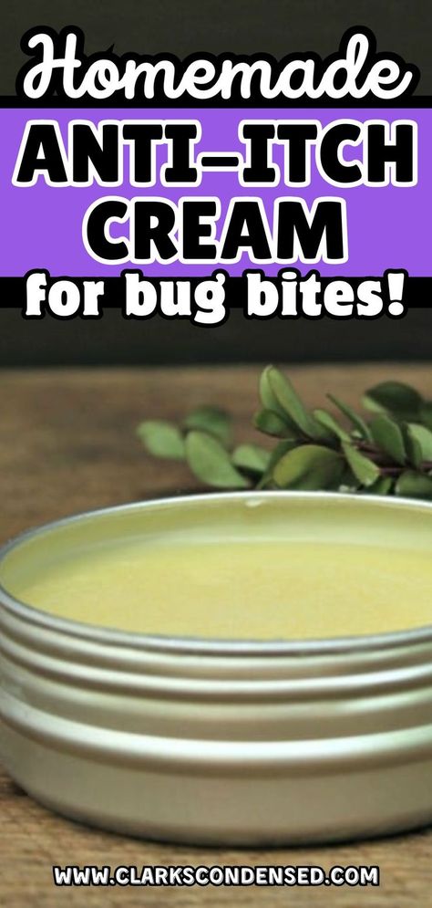 Natural Bug Bite Remedy, Remedies For Bug Bites, Wellness Garden, Bug Bites Remedies, Bug Bite Relief, Bug Spray Recipe, Bug Bite, Herbal Remedies Recipes, Salve Recipes