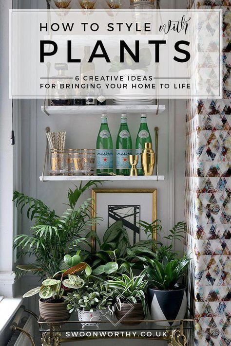 Monstera Plant Decor Ideas, Plant Staging Indoors, Arranging Plants In Living Room, Shelf Styling With Plants, Indoor Plant Grouping Ideas, Grouping Plants Together Indoors, Styling House Plants, How To Style Plants Indoors, Plant Styling Ideas