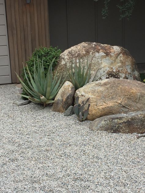 Desert Plants Landscaping, Beach House Garden, Courtyard Plants, Sand Garden, Stone Landscaping, Landscaping With Boulders, Landscaping Retaining Walls, Landscape Elements, Coastal Gardens