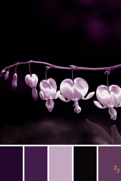 ZJ Colour Palette 251 #colourpalette #colourinspiration Flora Garden, Purple Color Palettes, Color Schemes Colour Palettes, Paint Color Schemes, Color Palate, Design Seeds, Photo Nature, Color Palette Design, Color Inspo