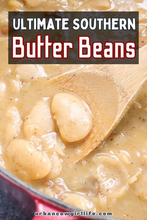 Looking for a dish that’s rich in flavor and packed with Southern charm? This Southern Butter Beans recipe is an easy, crowd-pleasing option for potlucks, barbecues, or family meals. | southern butter beans recipe, healthy beans recipes, easy side dishes, butter beans recipe, lima bean recipes, crockpot butter beans, crock pot recipes, dinner recipes | Crock Pot Butter Beans, Butter Beans And Tomatoes, Lima Bean Recipes Crockpot, Butter Beans Recipe Crockpot, Crockpot Butter Beans, Crockpot Lima Beans, Butter Beans Recipe Southern, Bean Recipes Crockpot, Lima Beans Recipe Southern