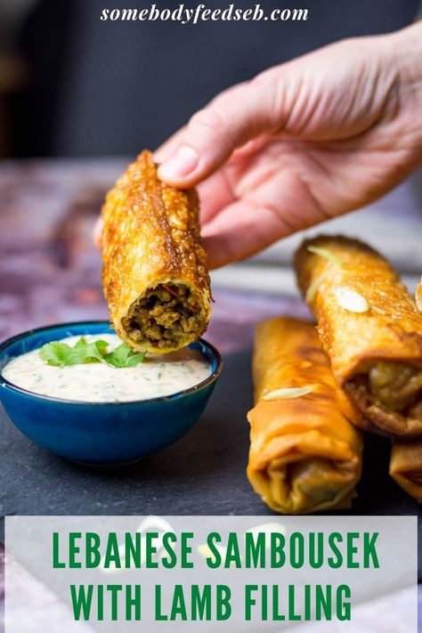 Filling enough for lunch or dinner, these filo pastry-wrapped Lamb Sambousek Rolls make a delicious meal when served with a dip and a salad! A gently spicy, but extremely aromatic spice mix add an abundance of flavours to the lovely minced lamb and red pepper filling! You then wrap the filling in shop-bout filo pastry and fry in a pan for an ultimately crispy treat! #lebaneserecipes #sambousek #lamb Eastern Recipe, Jordanian Food, Minced Lamb, Patio Entertaining, Savory Recipe, Recipes Restaurant, Easy To Make Dinners, Lebanese Cuisine, Filo Pastry