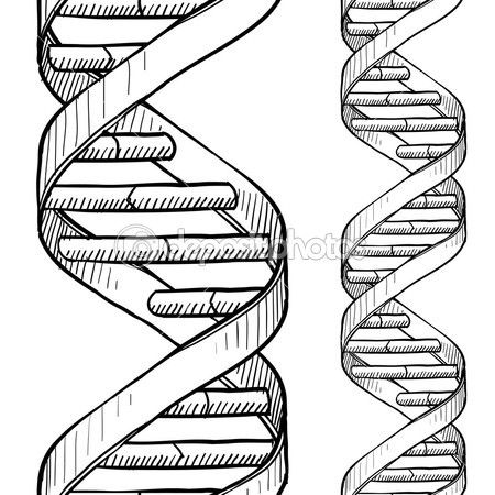 ADN / ilustración Dna Drawing Art, Dna Drawing, Dna Artwork, Helix Shape, Science Tattoo, Dna Art, Dna Tattoo, Dna Helix, 3d Printed Metal