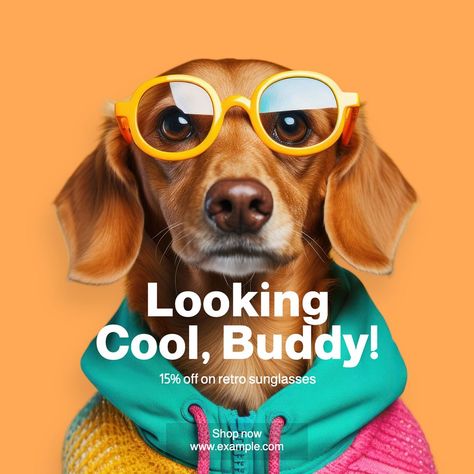 Pet clothes Instagram post template, editable text | free image by rawpixel.com / Hein Dog Infographic, Dog Texts, Pet Branding, Animal Body Parts, Design Campaign, Free Lightroom Presets Portraits, Pet Paw Print, Pet Businesses, Dog Branding