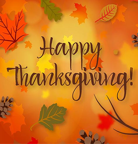 Free Thanksgiving Graphics - Happy Thanksgiving Images - Thanksgiving Animations Funny Thanksgiving Images, Thanksgiving Turkey Images, Happy Thanksgiving Sign, Happy Thanksgiving Wallpaper, Thanksgiving Graphics, Happy Thanksgiving Pictures, Happy Thanksgiving Images, Thanksgiving Messages, Thanksgiving Background