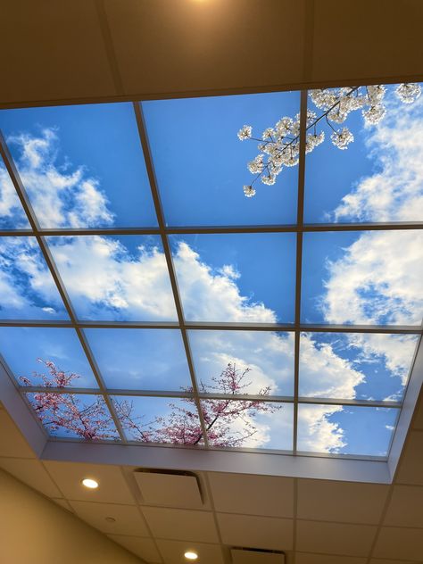 Transparent Ceiling Design, Spa Ceiling Design, Acrylic Ceiling Design, Blue Sky Ceiling, Transparent Ceiling, Bathroom Ceilings, Healthcare Interior Design, Sky Ceiling, Living Room Wall Designs