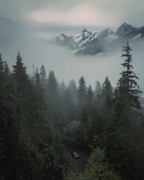 Pnw Aesthetic, Twilight Woods, Conifer Forest, Tapestry Aesthetic, Holy Mountain, Mountains Aesthetic, Ethereal Aesthetic, Forest Wallpaper, Watch Tower