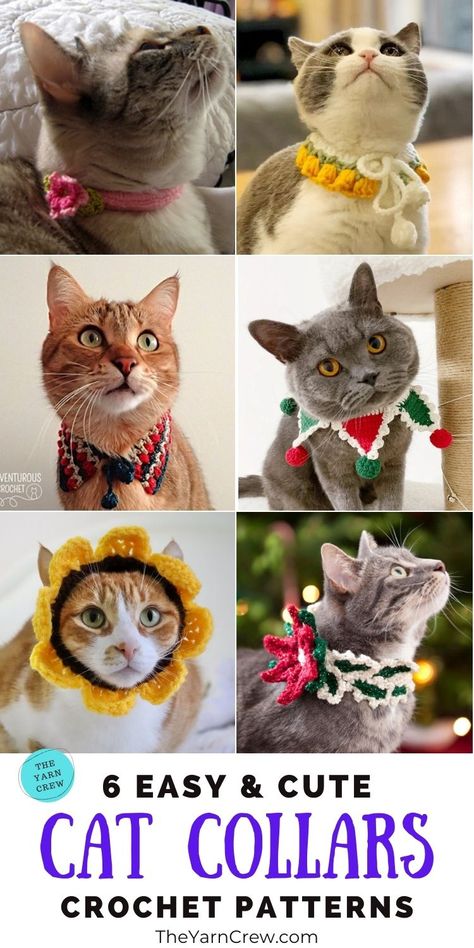 6 Easy Crochet Cat Collar Patterns. These Easiest Crochet Cat Collar Patterns are curated by The Yarn Crew. Cat Collars Diy, Crochet Cat Collar, Cat Sweater Pattern, Collar Patterns, Easiest Crochet, Cat Hat Pattern, Easy Crochet Flower, Dog Collar Pattern, Crochet Pet