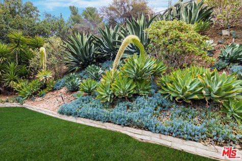 Houston Landscaping, Mid Century Modern Landscaping, Houston Garden, Tropical Pool Landscaping, Native Plant Landscape, Texas Landscaping, Zen Rock Garden, Low Maintenance Landscaping, Front Yard Garden