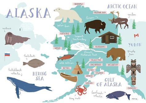 Alaska Map, Arctic Ocean, Country Maps, Alaska Travel, Illustrated Map, Travel Maps, Map Design, Places Around The World, Map Art