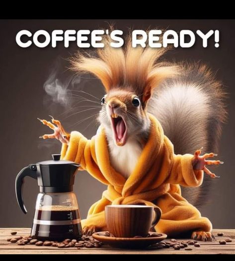 Morning Coffee Funny, Squirrel Pictures, Funny Day Quotes, Good Morning Funny Pictures, Squirrel Funny, Good Morning Sunshine Quotes, Happy Morning Quotes, Funny Good Morning Quotes, Morning Quotes Funny