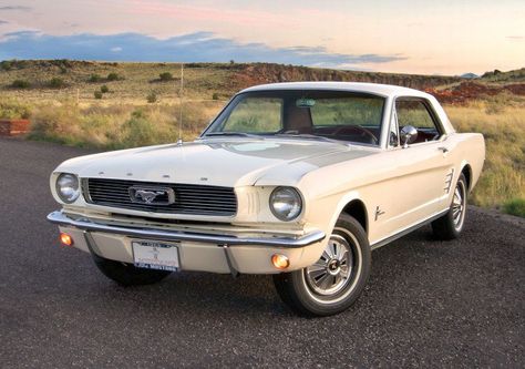 Old Ford Mustang, Burgundy Interior, 1966 Mustang, 65 Mustang, 1965 Mustang, Old Vintage Cars, 1966 Ford Mustang, Classic Mustang, Cars Classic