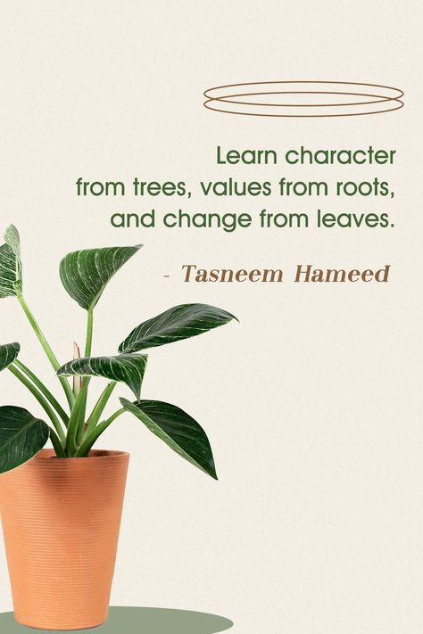 TGIF! Tasneem Hameed's wise words for the weekend. #BriteProducts #LEDgrowlights #growlights #indoorplants #plants #indoorgardening Photo Album Quote, Indoor Jungle, Indoor Gardening, Cute Stories, Room With Plants, Led Grow Lights, Anime Monochrome, Grow Lights, Tgif