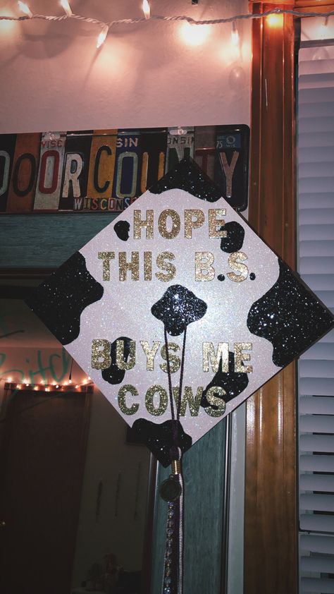 Grad Cap Ideas Agriculture, Graduation Cap Designs Cow Print, Graduation Cap Cow Designs, Cute Cap For Graduation, Cow Themed Graduation Cap, Graduation Cap College Designs, Cow Ideas Decor, Cowgirl Graduation Cap, Graduation Cap Designs Morgan Wallen