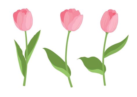 Cartoon Tulip, Tulip Drawing, Cute Garden, Cartoon Style, Icon Set, Cartoon Drawings, Cartoon Styles, Tulips, Vector Art