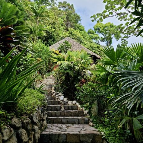 Osa Peninsula Accommodations - LUNA LODGE Costa Rica Yoga Platform, Honeymoon Suite, Hacienda Style, Romantic Escapes, Private Deck, The Rainforest, Tropical Rainforest, Rustic Elegance, Pacific Ocean