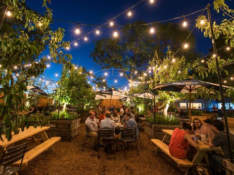 Beer Garden Design, Beer Garden Ideas, Outdoor Restaurant Patio, Outdoor Beer Garden, Rooftop Restaurant Design, Faux Trees, Lakeside Village, Outdoor Restaurant Design, Pub Design