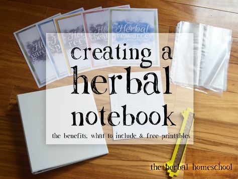 Medicine Recipes, Learning Herbs, Medicine Garden, Herbal Education, Herbal Medicine Recipes, Herbal Remedies Recipes, Pineapple Sage, Herbal Recipes, Herbal Apothecary